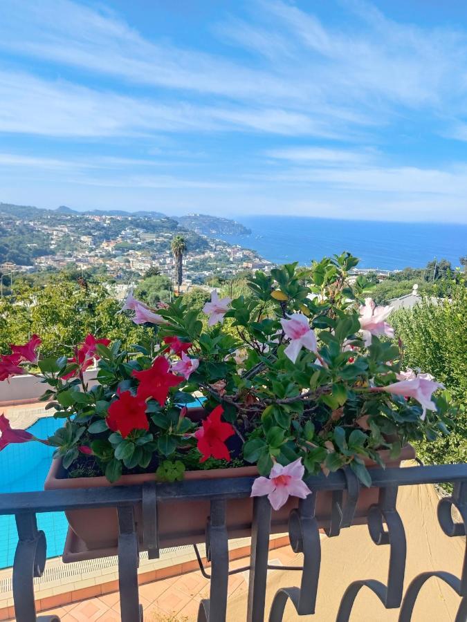 Hotel Ape Regina Casamicciola Terme Dış mekan fotoğraf