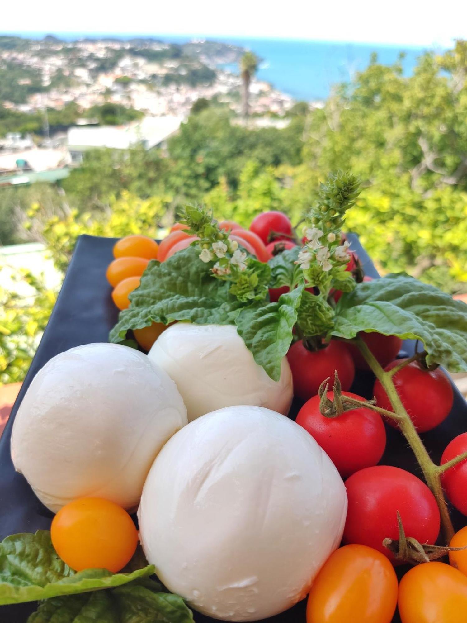 Hotel Ape Regina Casamicciola Terme Dış mekan fotoğraf